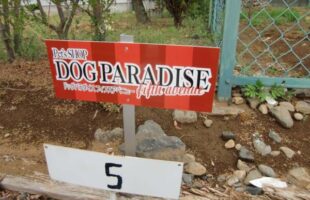 駐車場看板　埼玉県さいたま市